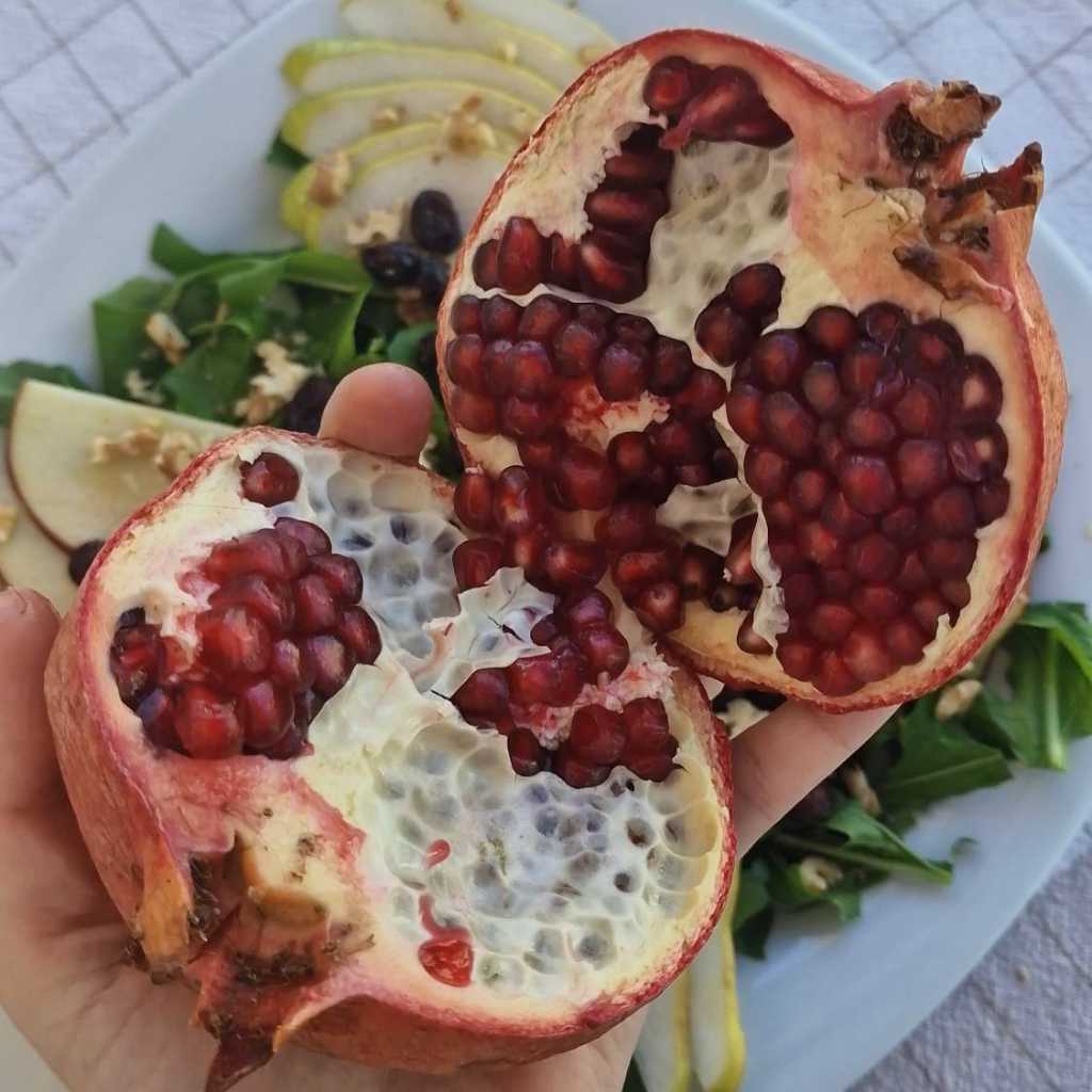 pomegranate