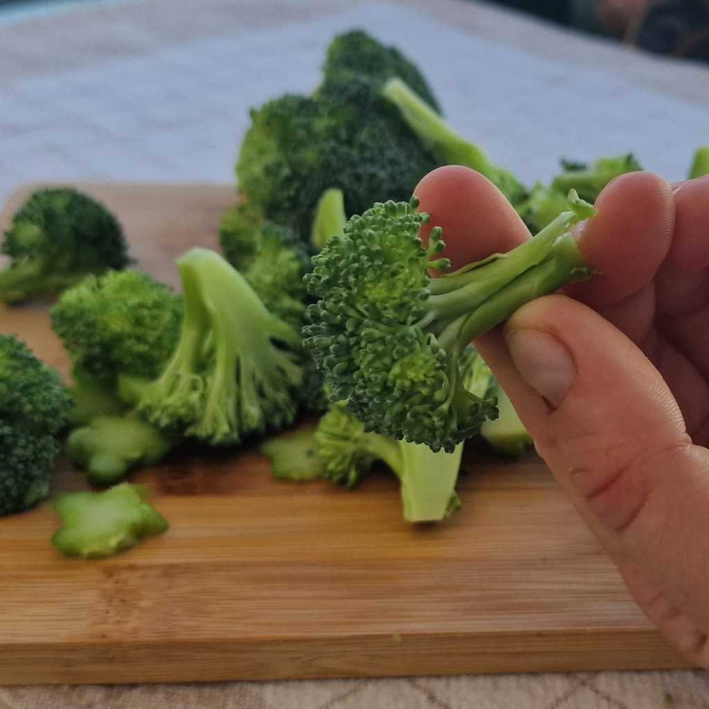 fresh broccoli florets