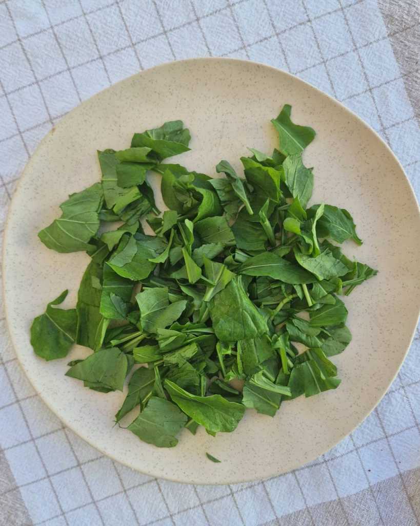 arugula