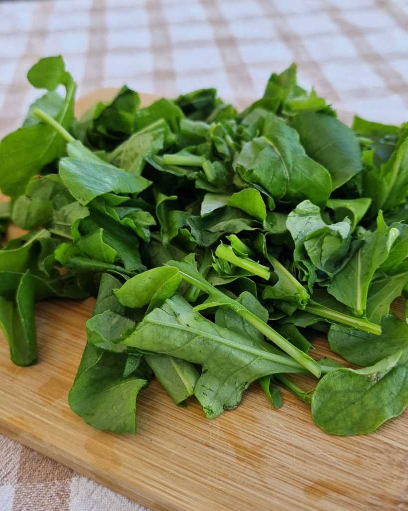 cut arugula