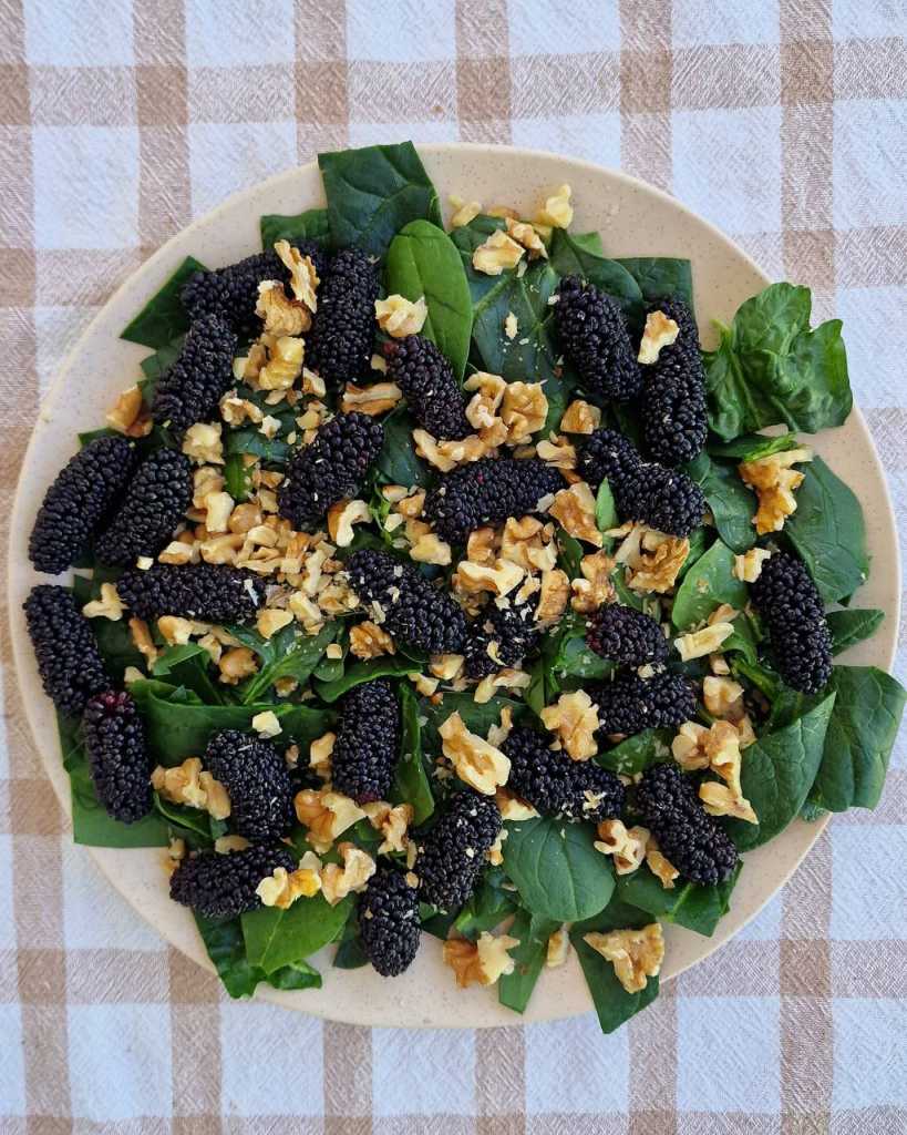 Mulberry Spinach Feta Walnuts Salad recipe