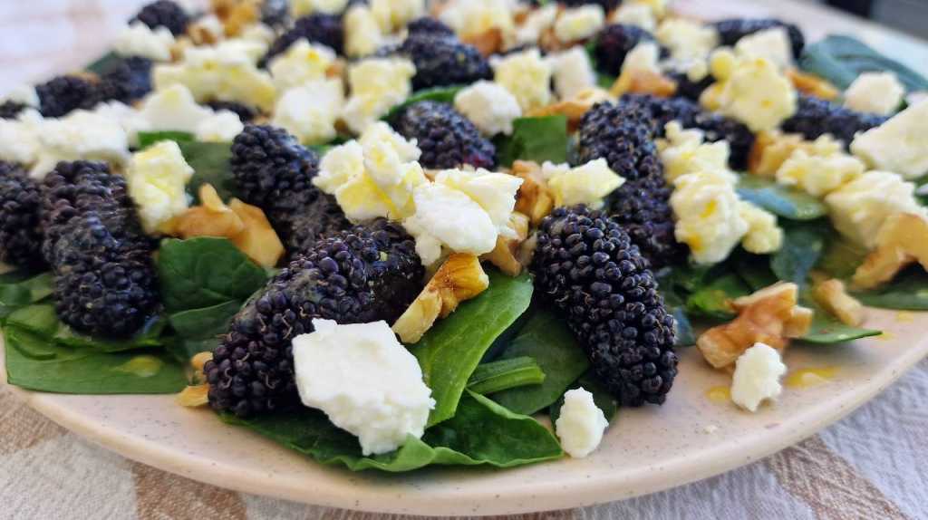 Mulberry Spinach Feta Walnuts Salad recipe