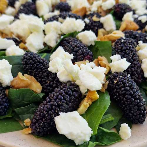 Mulberry Spinach Feta Walnuts Salad recipe