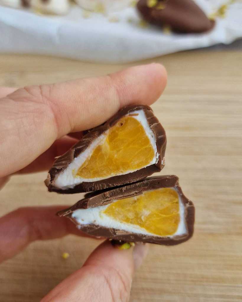 Chocolate-covered Yogurt Tangerine bites recipe