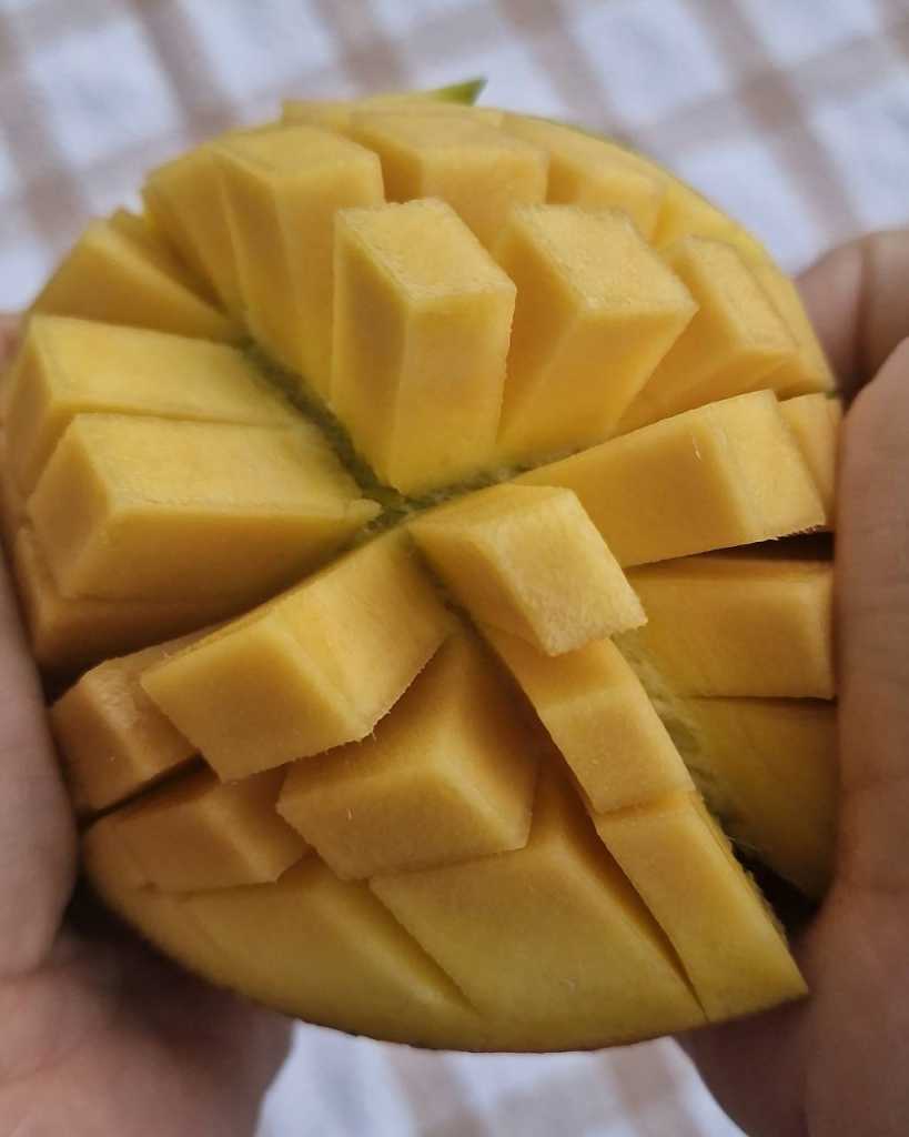 mango cut