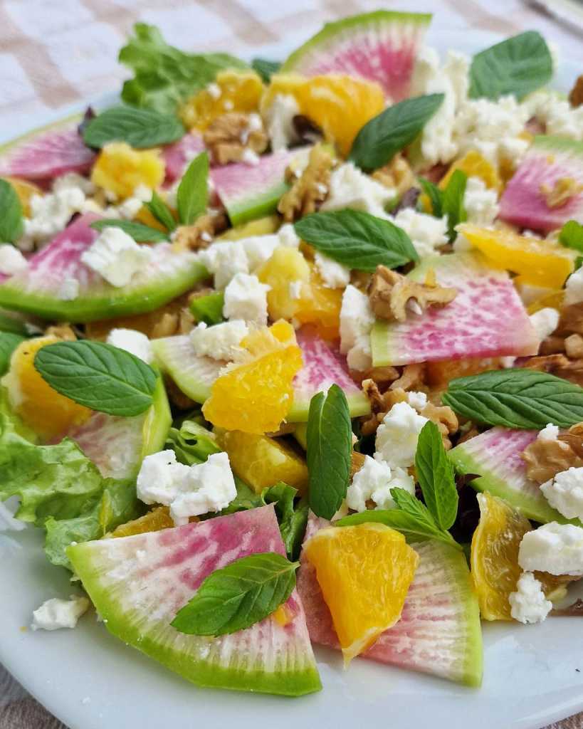 radish with mint and orange salad recipe