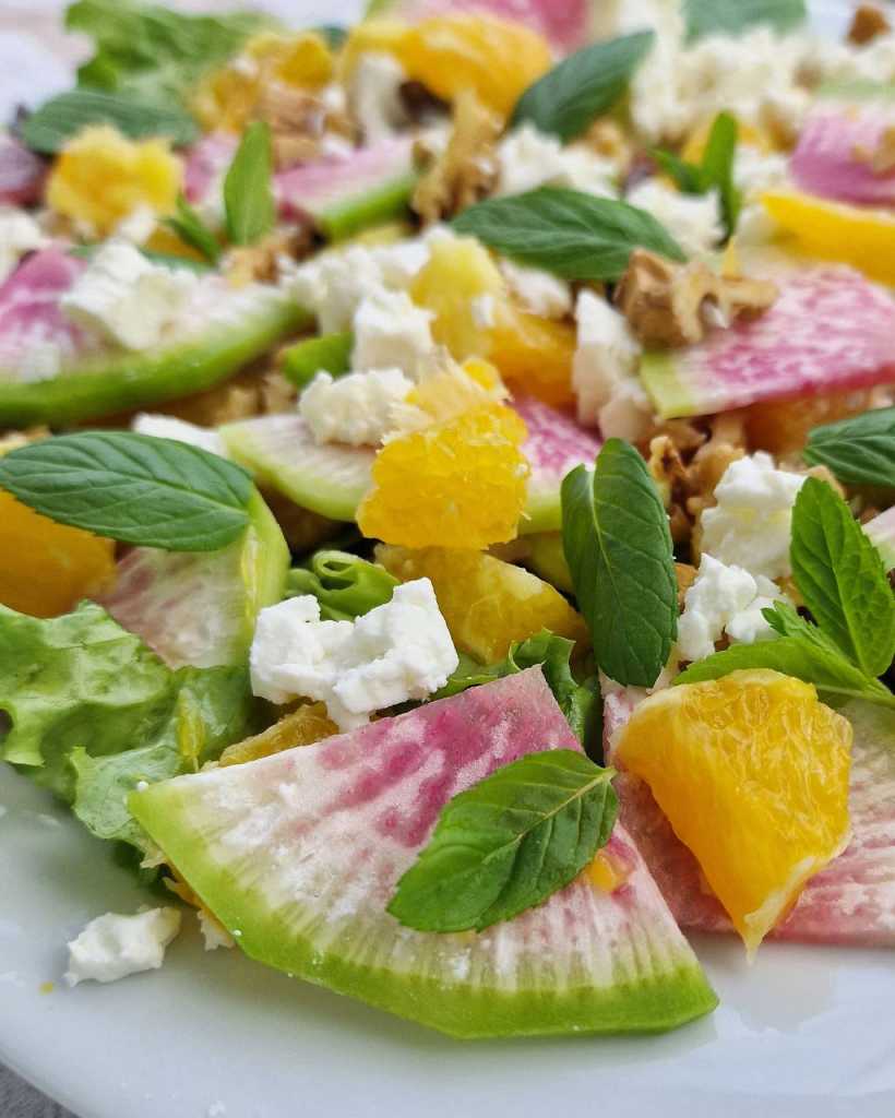 radish salad recipe