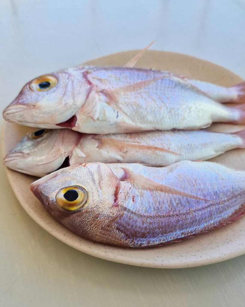 raw red mullet