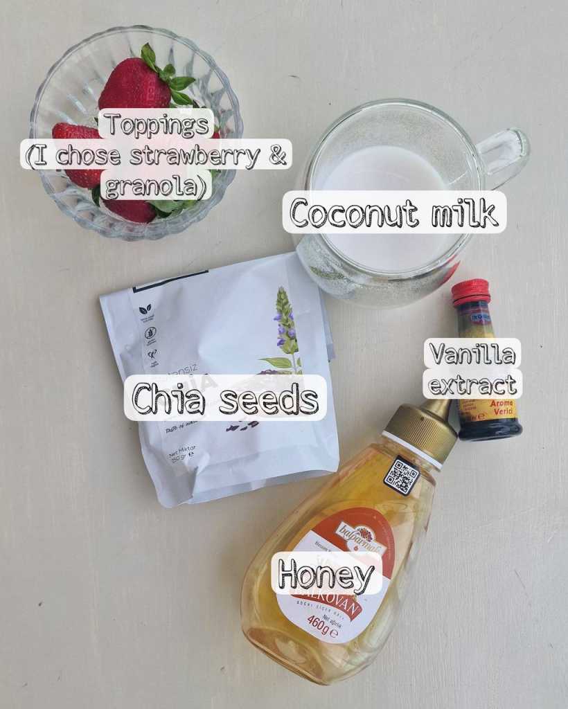 chia pudding ingredients