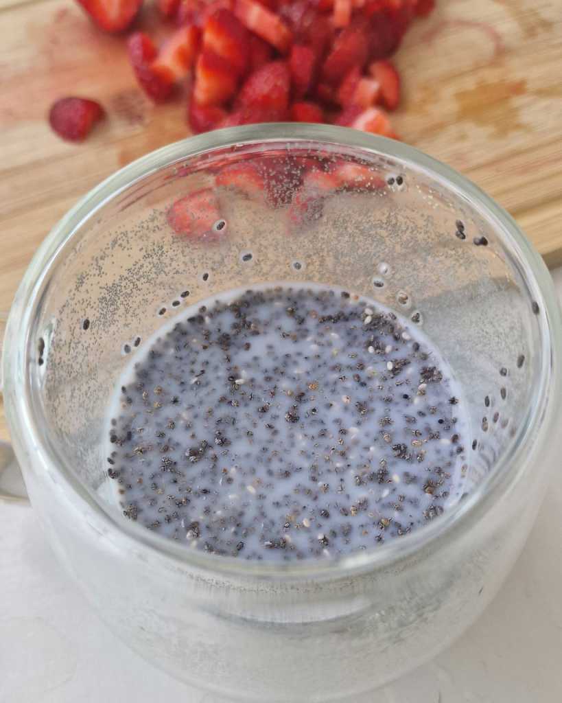 chia pudding with coconut milk