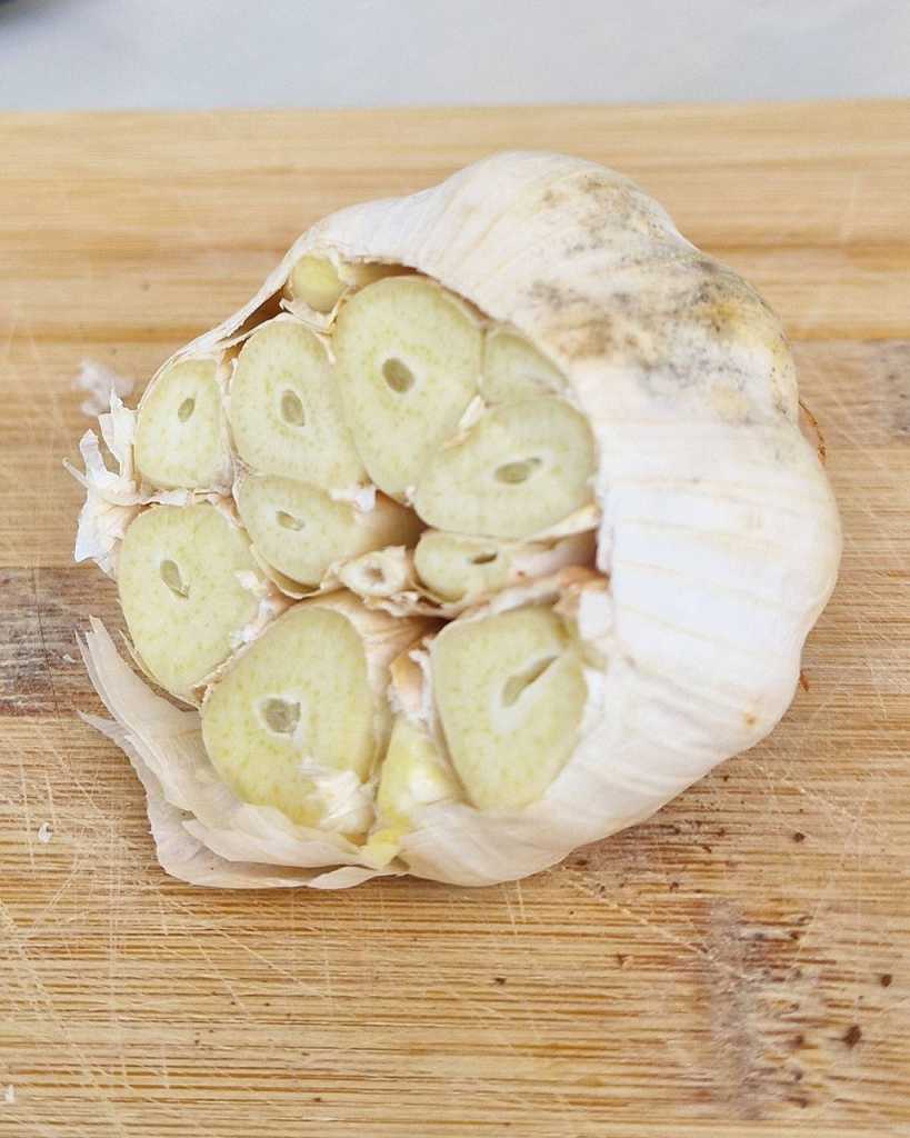 garlic