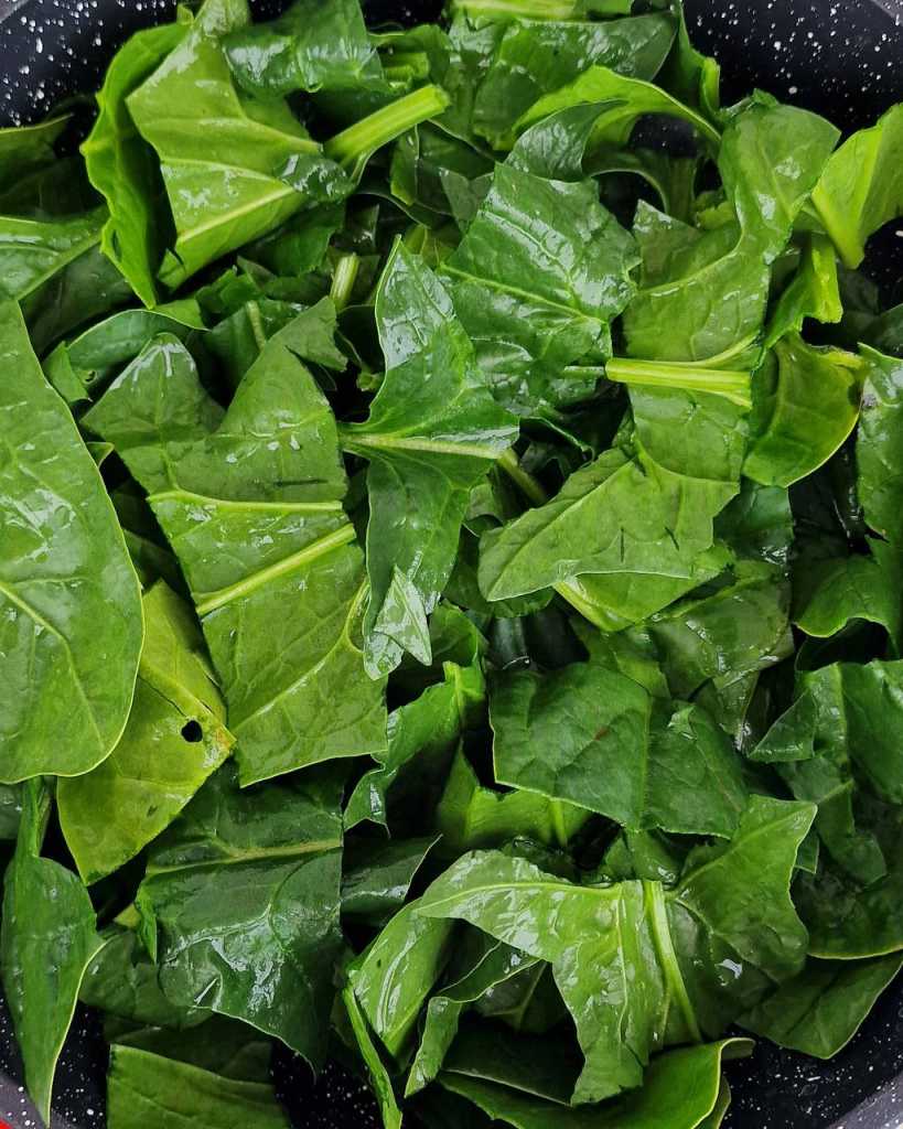 fresh spinach 