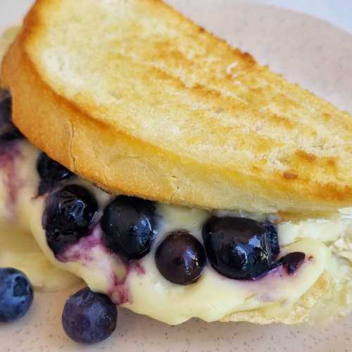 Blueberry Brie Grilled Cheese