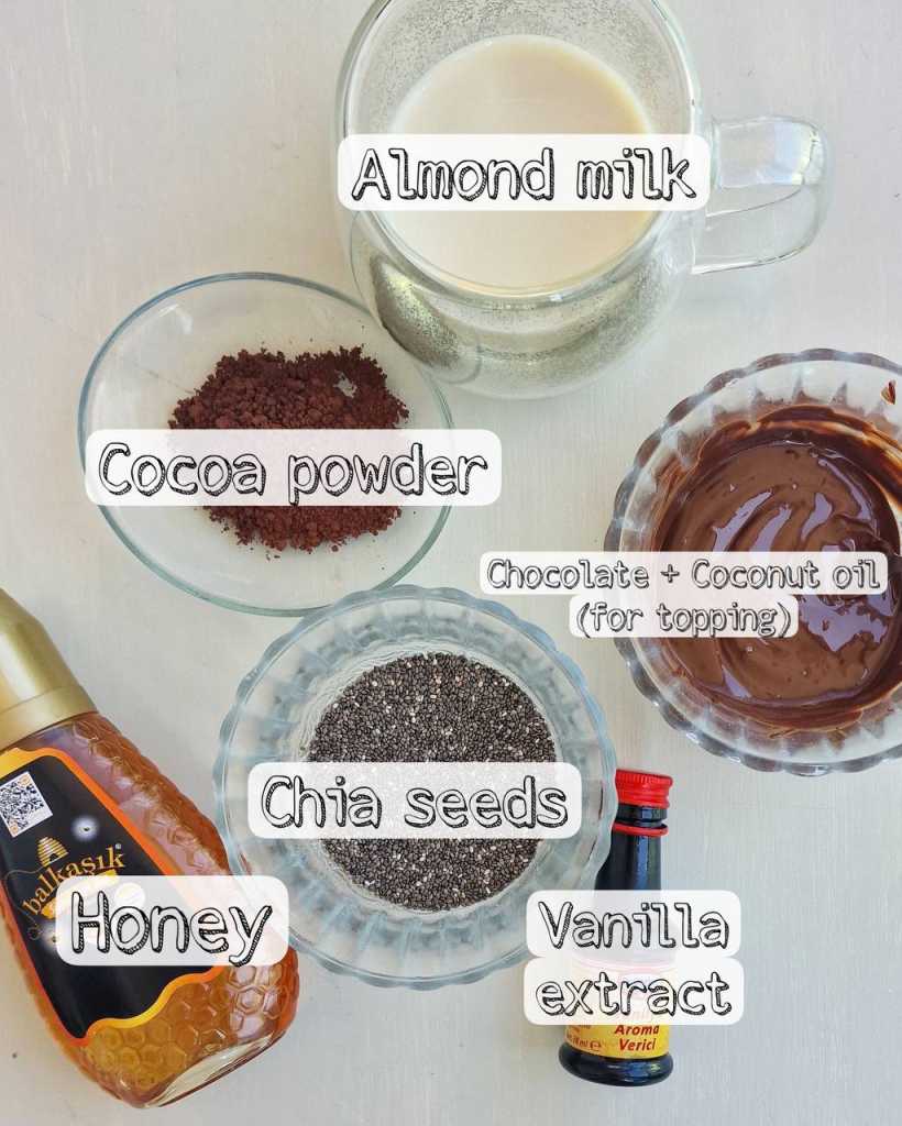 Chocolate Chia Pudding ingredients