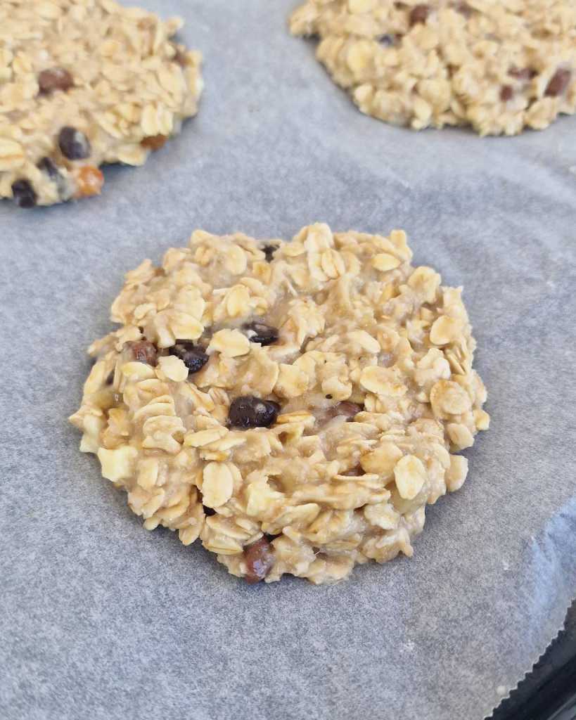 Coconut Oatmeal Chocolate Chip Cookies