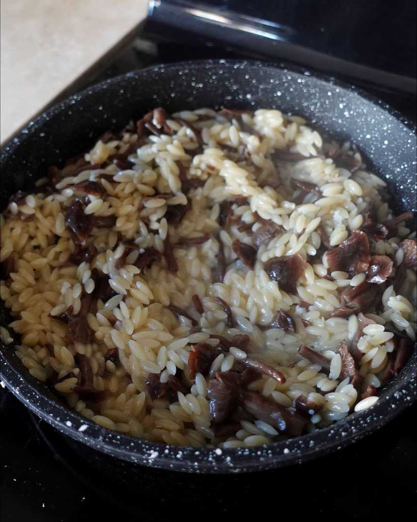 One-pot Creamy Mushroom Orzo